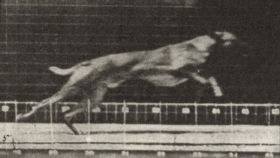 Plate 708 'Ike' galloping — figure reference